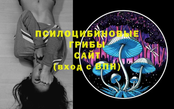 крисы Приозерск