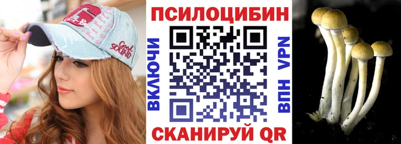 Галлюциногенные грибы MAGIC MUSHROOMS  купить наркоту  Кондрово 
